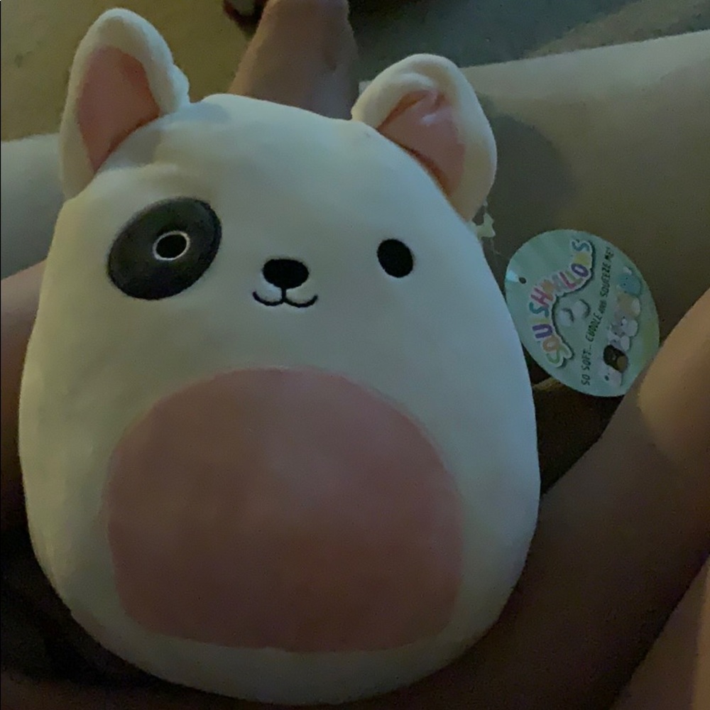 SQUISHMALLOW DOG 🐶